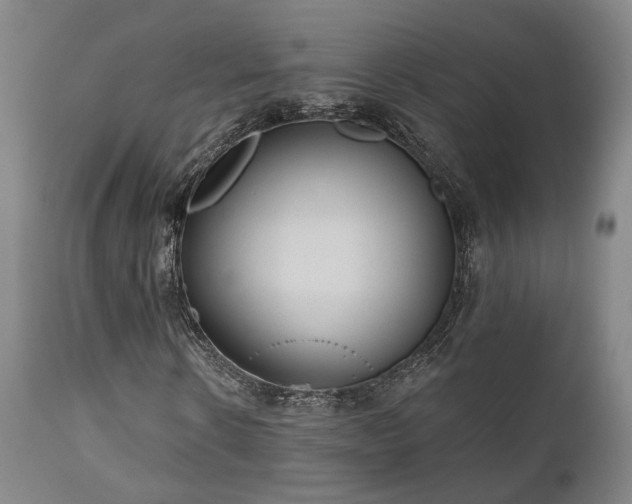 X0000110960914200906191308