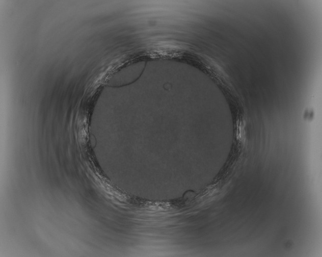 X0000110960915200906191308
