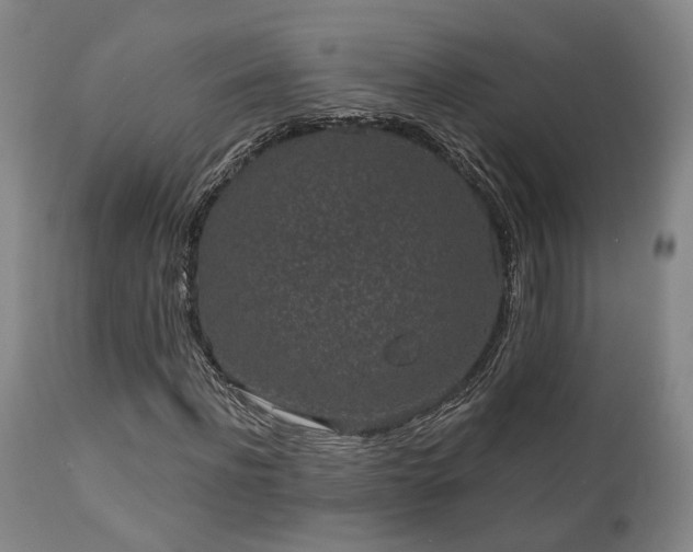 X0000110960916200906191308