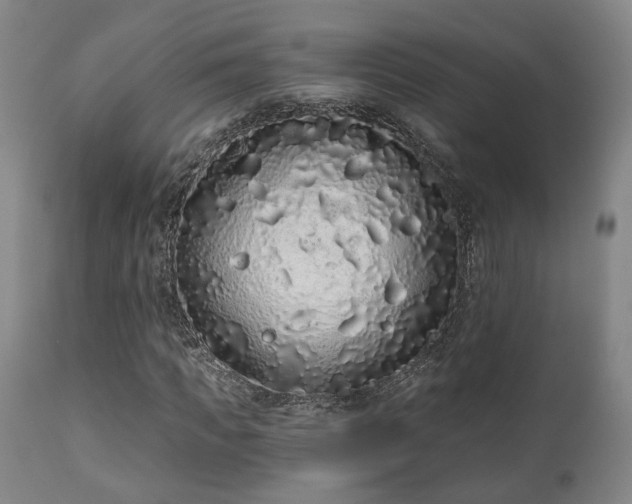 X0000110960917200906191308
