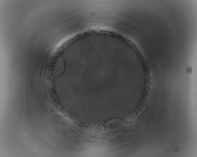 X0000110960919200906191308
