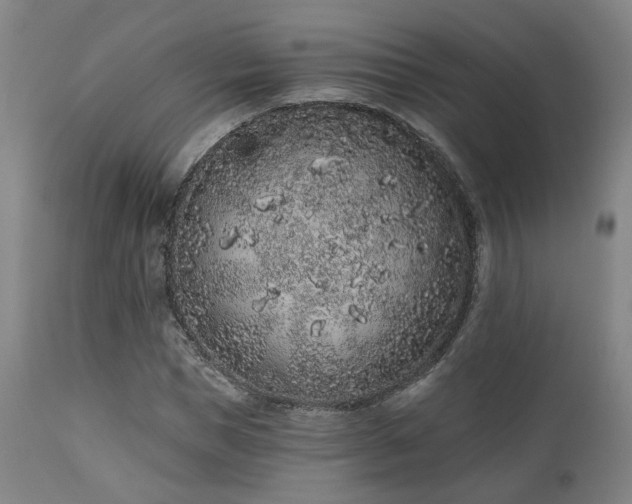 X0000110960921200906191308