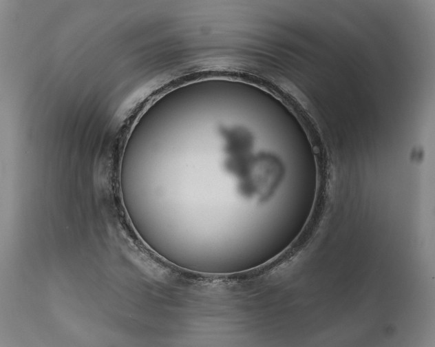 X0000110960922200906191308