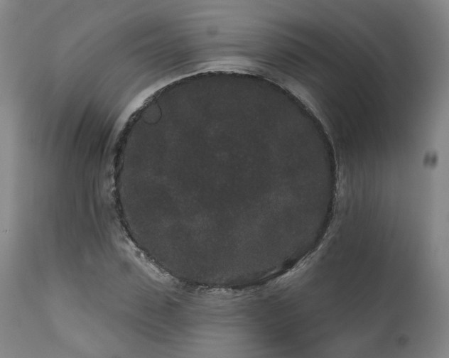 X0000110960923200906191308