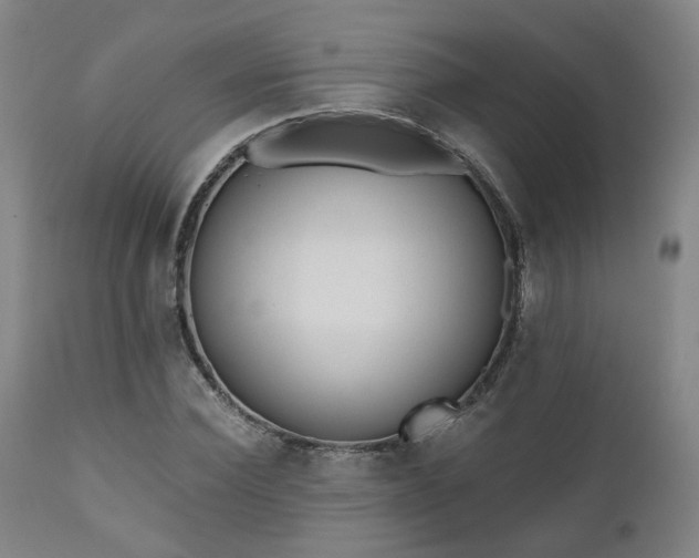 X0000110960924200906191308