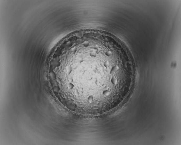 X0000110960925200906191308