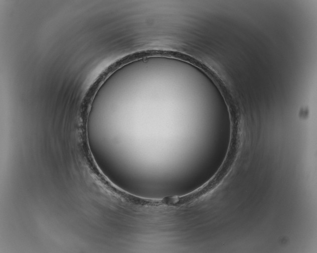X0000110960926200906191308