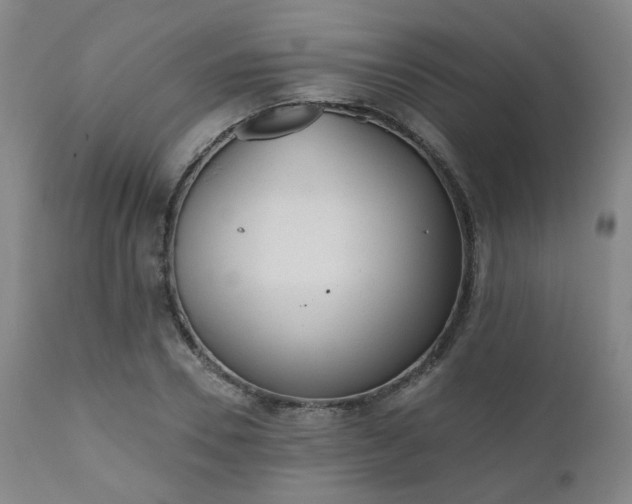 X0000110960930200906191309