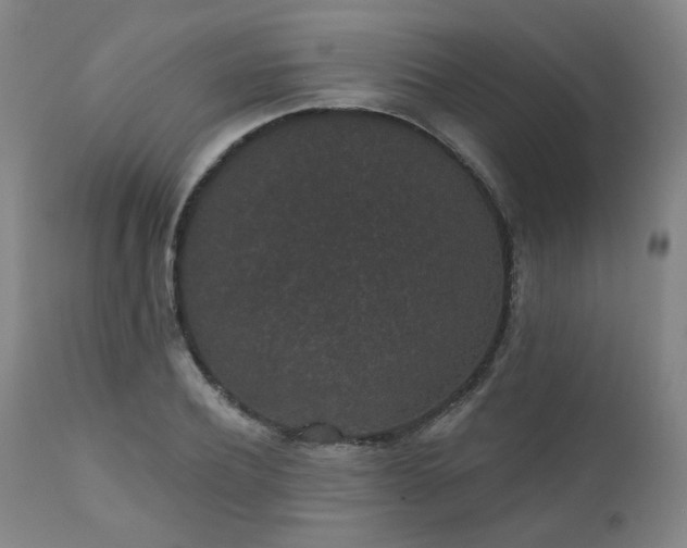 X0000110960932200906191309