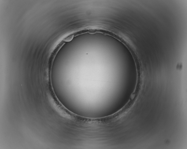 X0000110960934200906191309