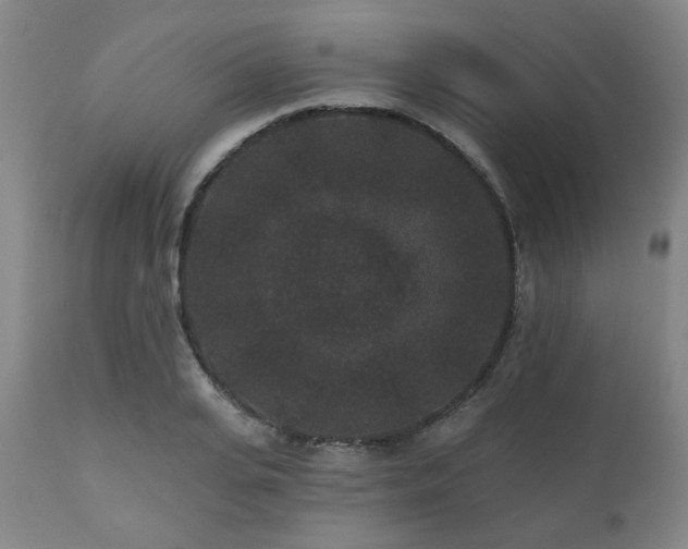 X0000110960935200906191309