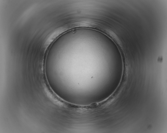 X0000110960938200906191309