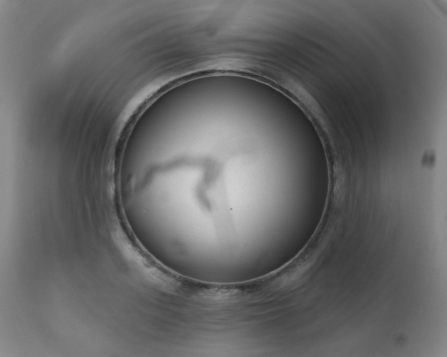 X0000110960939200906191309