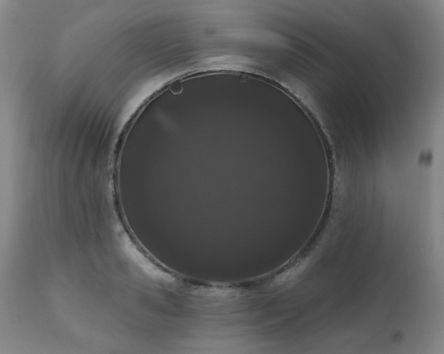 X0000110960941200906191309