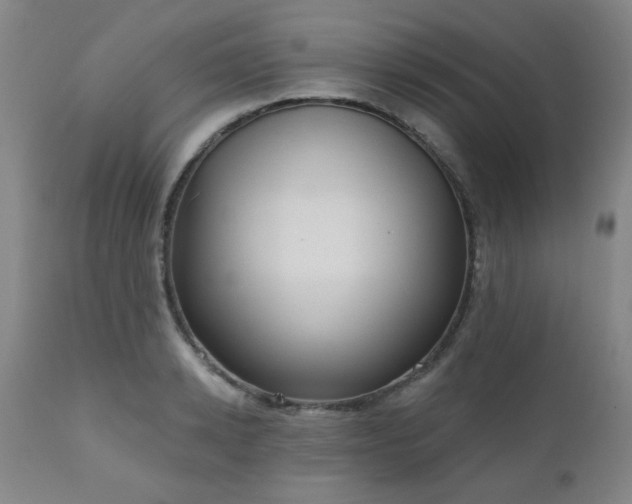 X0000110960942200906191309