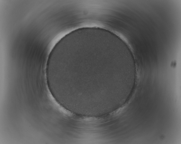X0000110960943200906191309