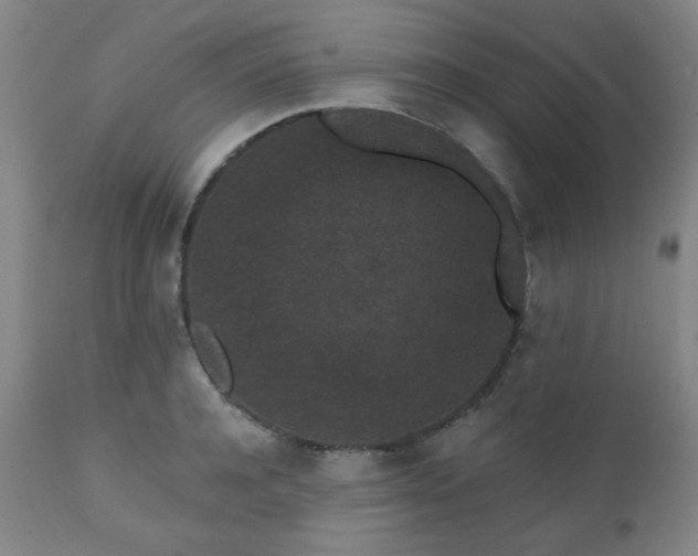 X0000110960944200906191309