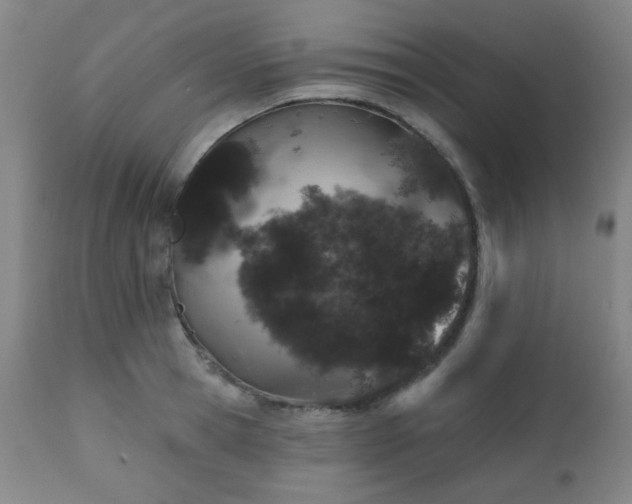 X0000110960945200906191309