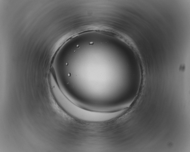 X0000110960946200906191309