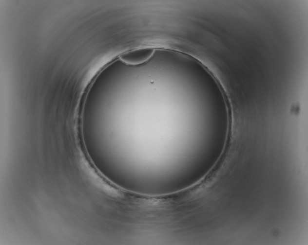 X0000110960949200906191309