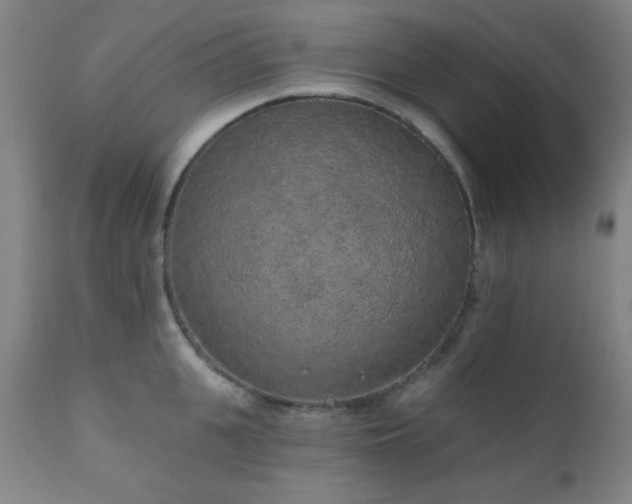 X0000110960951200906191309