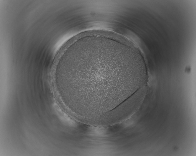 X0000110960952200906191309