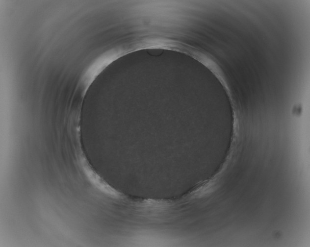 X0000110960954200906191309