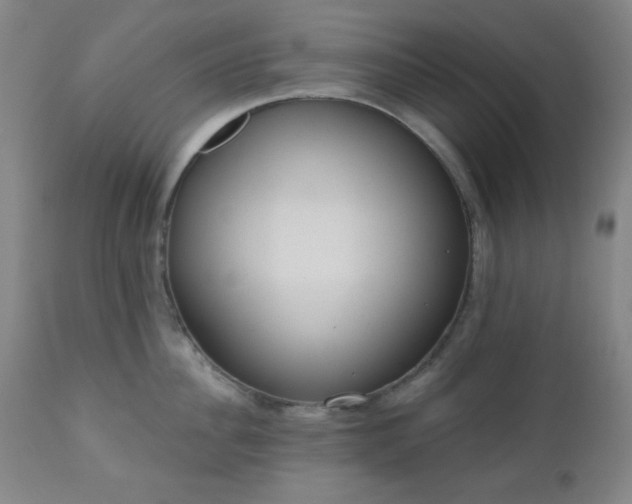 X0000110960956200906191309