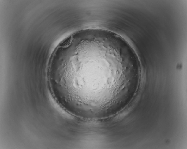X0000110960957200906191309