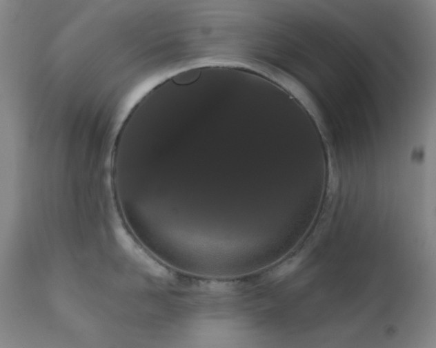 X0000110960958200906191309