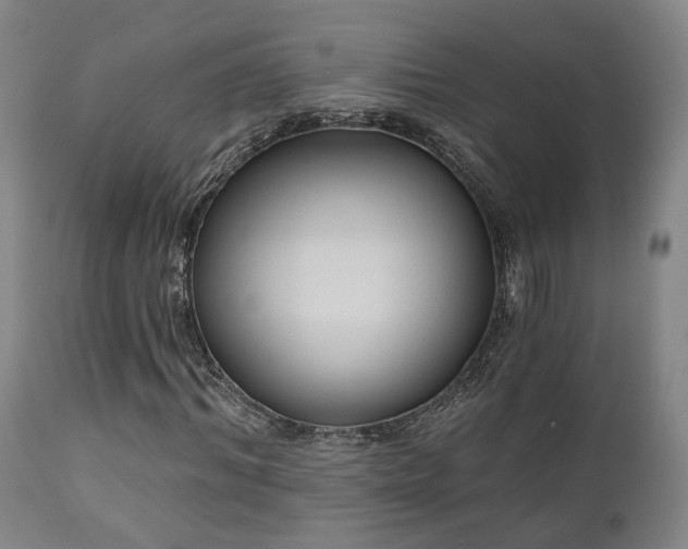 X0000110960964200906191308