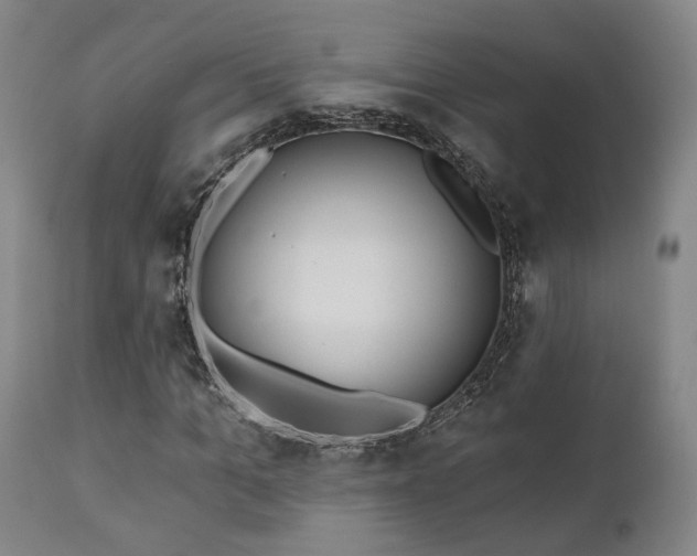 X0000110960965200906191308