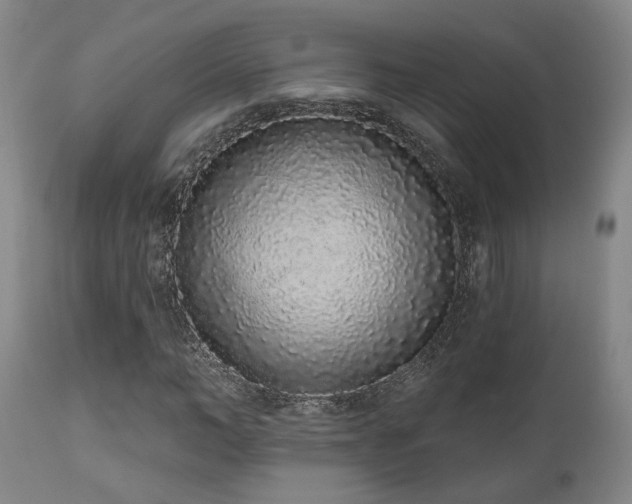 X0000110960966200906191308