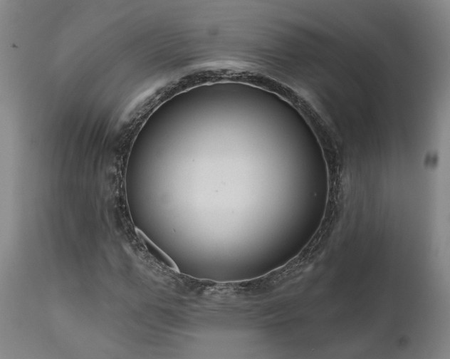 X0000110960967200906191308