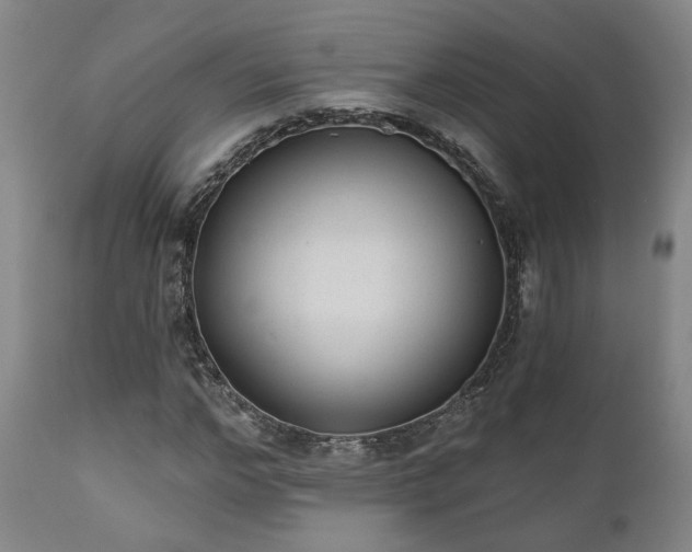 X0000110960968200906191308