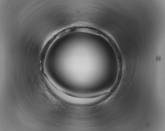 X0000110960973200906191308