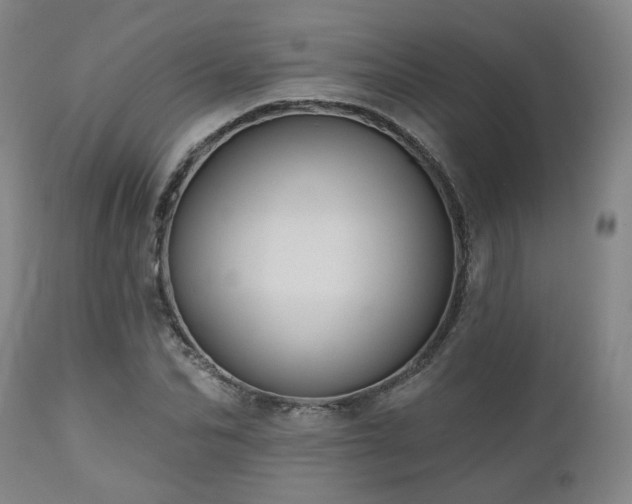 X0000110960974200906191308