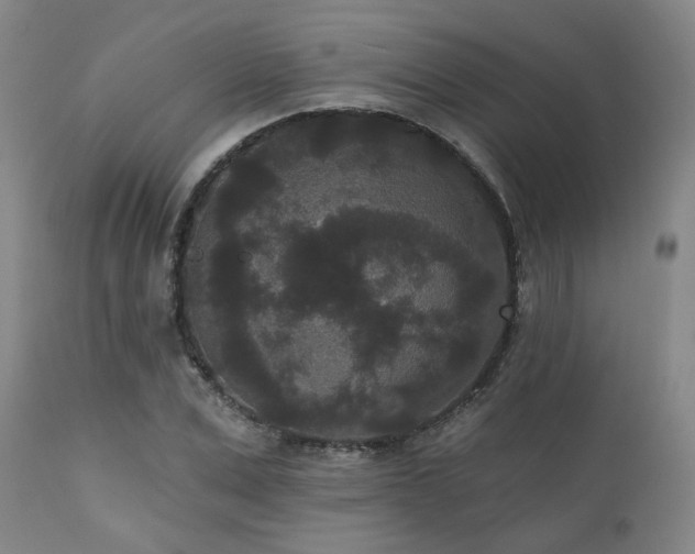 X0000110960975200906191308