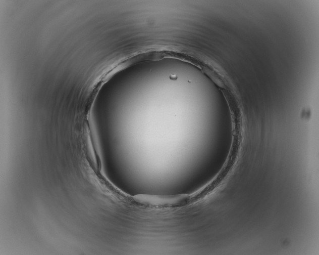 X0000110960977200906191308
