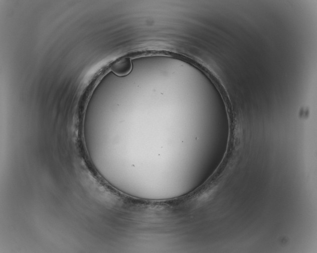 X0000110960979200906191308