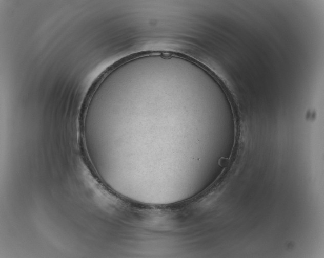 X0000110960980200906191308