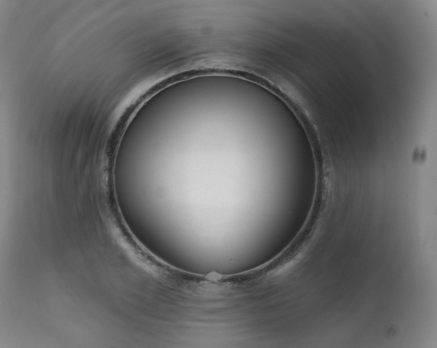 X0000110960981200906191308