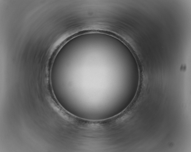 X0000110960982200906191308