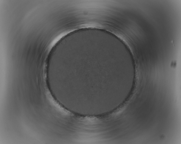 X0000110960983200906191308