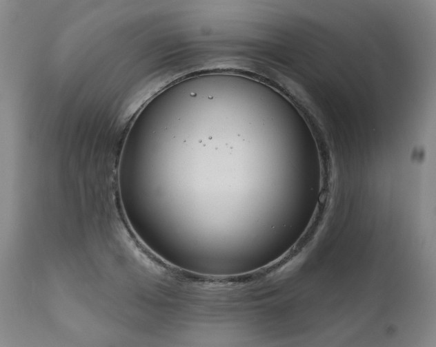 X0000110960985200906191308