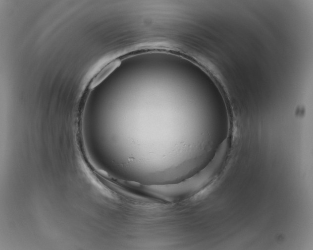 X0000110960989200906191308