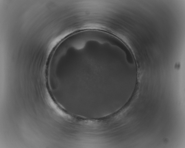 X0000110960995200906191308
