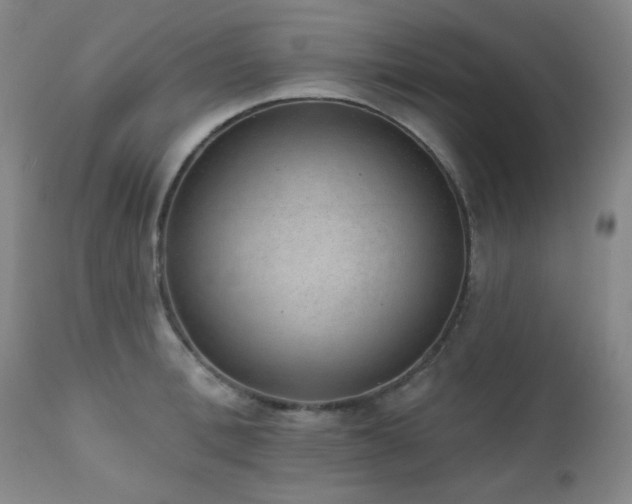 X0000110960996200906191308