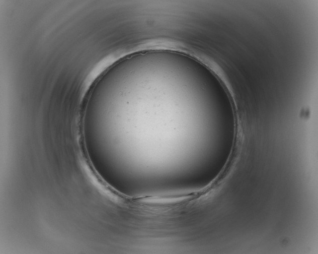 X0000110960997200906191308