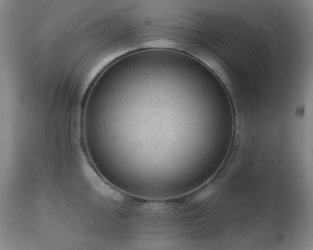 X0000110961000200906191308